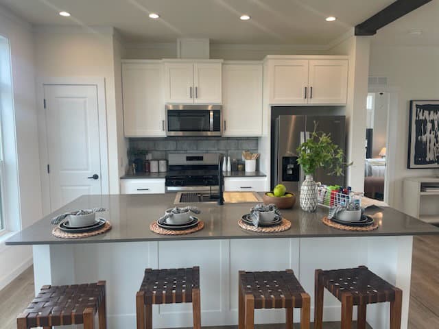 Kritzer kitchen home features
