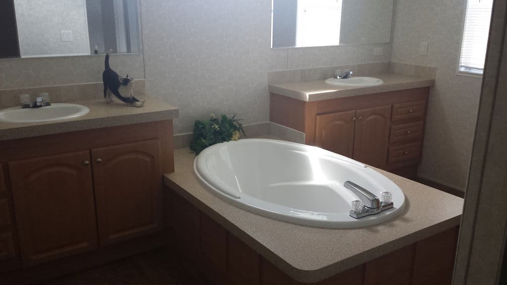 Alex jr 2860 bathroom home features