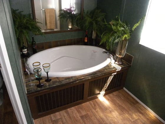 Benbrook 30684b bathroom home features