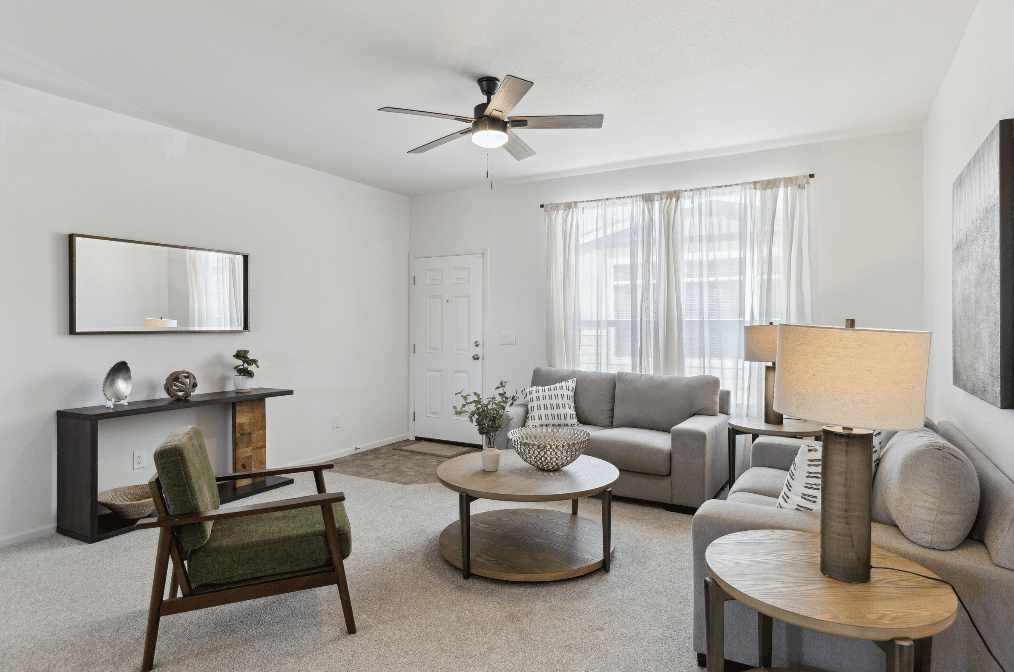 Olive interior home features