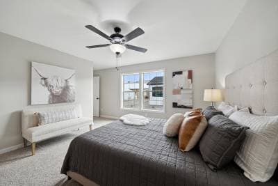 Catalina bedroom home features