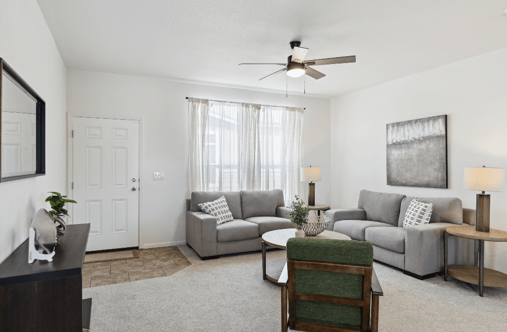 Olive interior home features