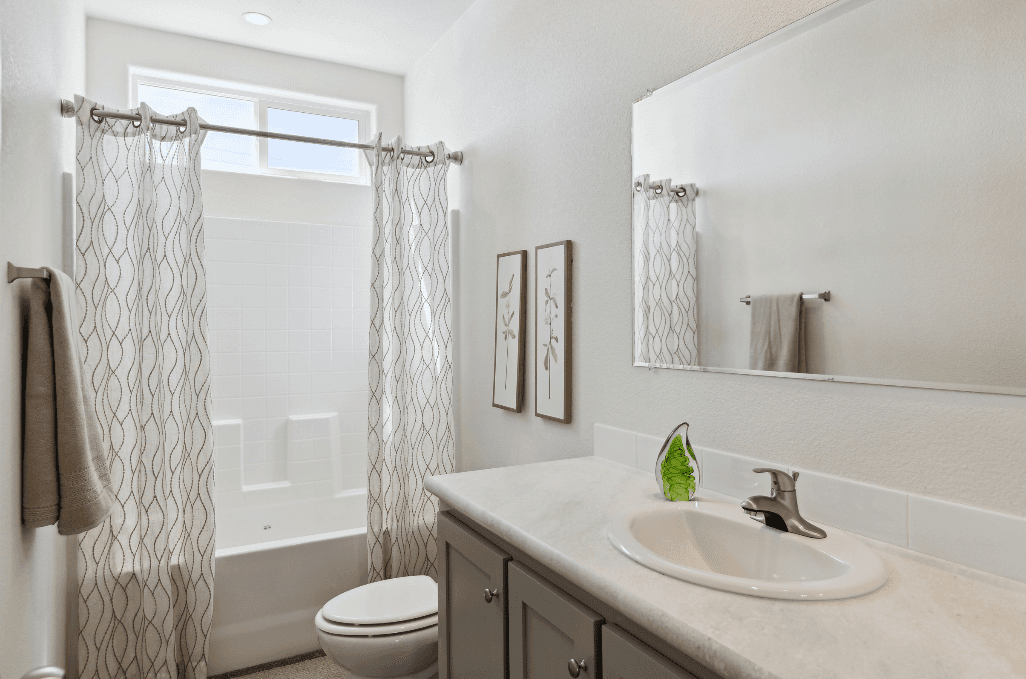 Olive bathroom home features