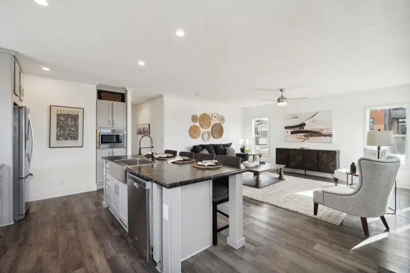 Orion interior home features