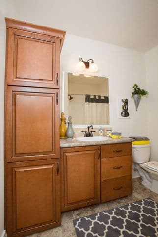 Baxter 42483a bathroom home features