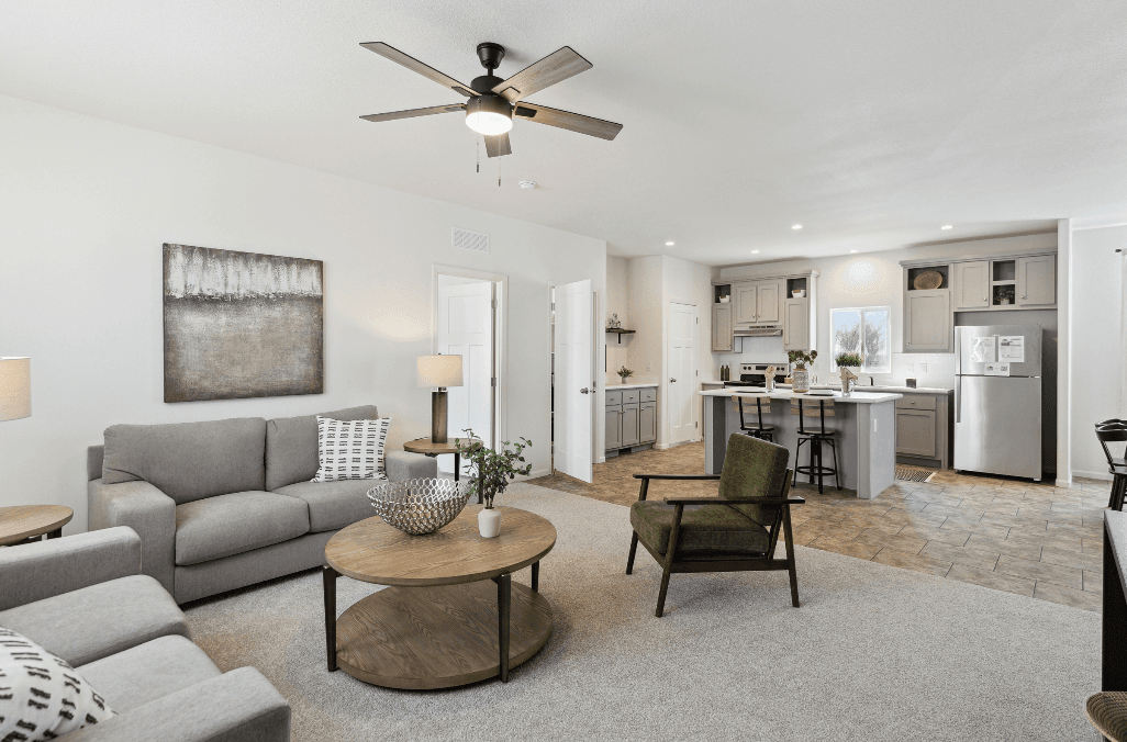 Olive interior home features