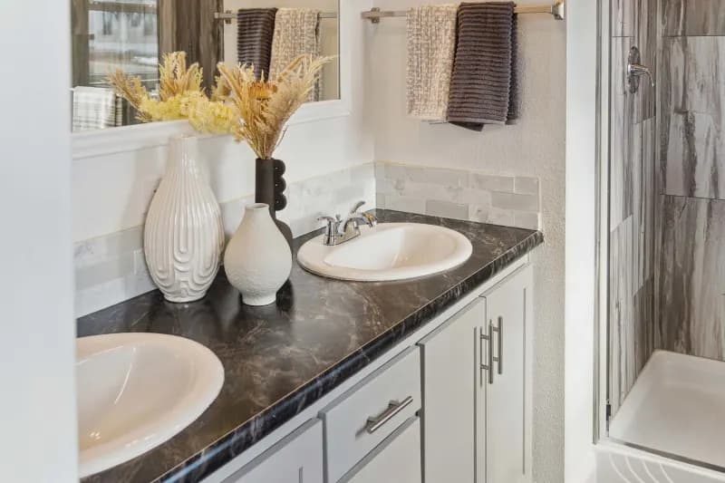 Orion bathroom home features